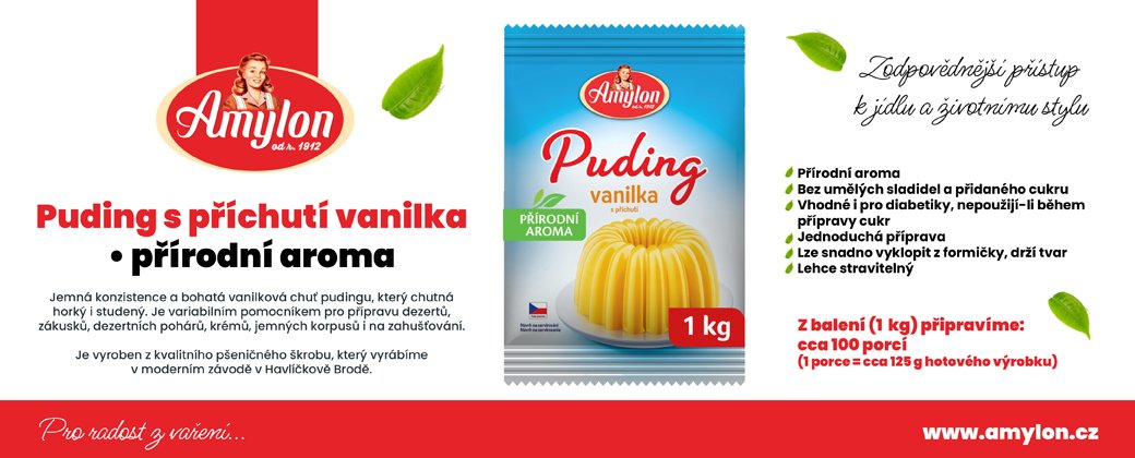 AMYLON pudink