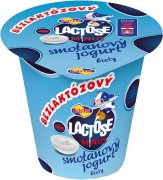 Fotografie produktu TAMI jogurt smetanový bezlaktózový bílý 150g