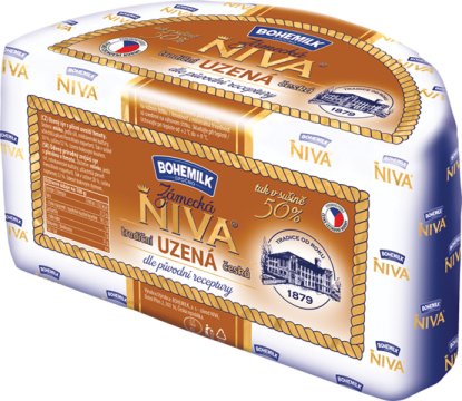 sýr přírodní s plísní uvnitř hmoty - uzený