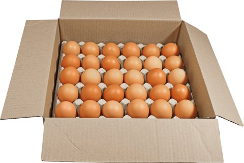 Čerstvá vejce, 180ks, L 63-73g, Vejce nosic v klecích, jakostní třída A