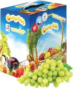 Fotografie produktu OVOCŇÁK MOŠT JABLKO-BÍLÝ HROZEN 3L